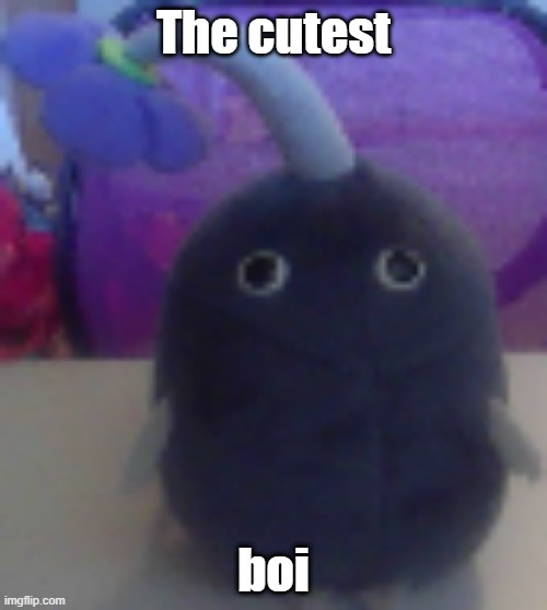 The Cutest Boi | The cutest; boi | image tagged in cute,boi,hehe boi | made w/ Imgflip meme maker