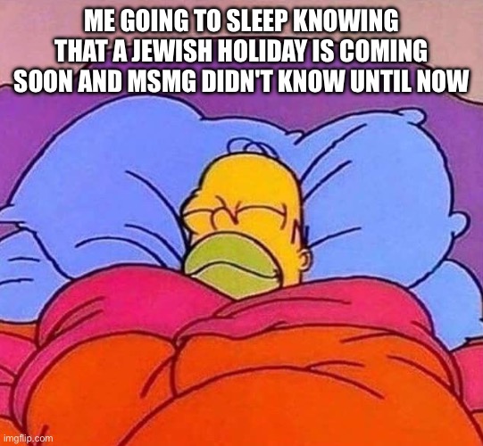 Ik because jewtok | ME GOING TO SLEEP KNOWING THAT A JEWISH HOLIDAY IS COMING SOON AND MSMG DIDN'T KNOW UNTIL NOW | image tagged in homer simpson sleeping peacefully | made w/ Imgflip meme maker