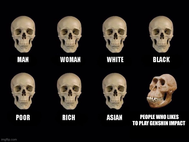 empty skulls of truth | PEOPLE WHO LIKES TO PLAY GENSHIN IMPACT | image tagged in empty skulls of truth | made w/ Imgflip meme maker