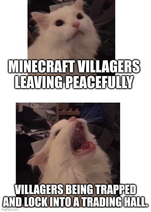 Thurston waffles | MINECRAFT VILLAGERS LEAVING PEACEFULLY; VILLAGERS BEING TRAPPED AND LOCK INTO A TRADING HALL. | image tagged in thurston waffles,mincraft,minecraft villagers,minecraft memes,gaming | made w/ Imgflip meme maker
