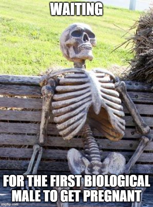 Waiting Skeleton Meme | WAITING; FOR THE FIRST BIOLOGICAL MALE TO GET PREGNANT | image tagged in memes,waiting skeleton | made w/ Imgflip meme maker