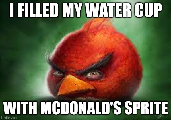 Realistic Red Angry Birds | I FILLED MY WATER CUP; WITH MCDONALD'S SPRITE | image tagged in realistic red angry birds,mcdonalds,sprite,memes | made w/ Imgflip meme maker