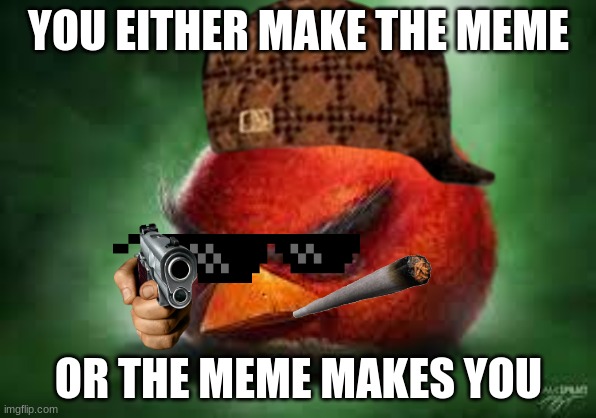 YOU EITHER MAKE THE MEME; OR THE MEME MAKES YOU | image tagged in realistic red angry birds,memes | made w/ Imgflip meme maker