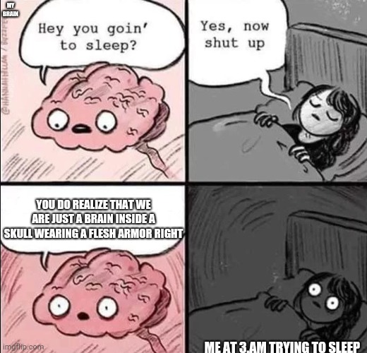 Can anyone relate? | MY BRAIN; YOU DO REALIZE THAT WE ARE JUST A BRAIN INSIDE A SKULL WEARING A FLESH ARMOR RIGHT; ME AT 3.AM TRYING TO SLEEP | image tagged in waking up brain | made w/ Imgflip meme maker
