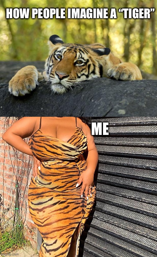 Tiger bbw | HOW PEOPLE IMAGINE A “TIGER”; ME | image tagged in confession tiger,bbw | made w/ Imgflip meme maker