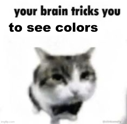 biology meme | to see colors | image tagged in your brain tricks you,memes,shitpost,msmg,oh wow are you actually reading these tags | made w/ Imgflip meme maker
