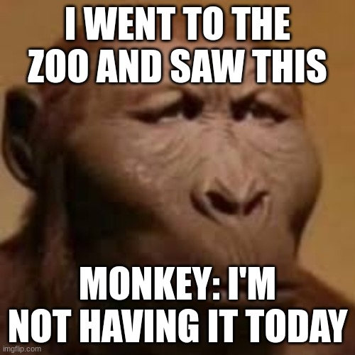 this monkey is not having it | I WENT TO THE ZOO AND SAW THIS; MONKEY: I'M NOT HAVING IT TODAY | made w/ Imgflip meme maker