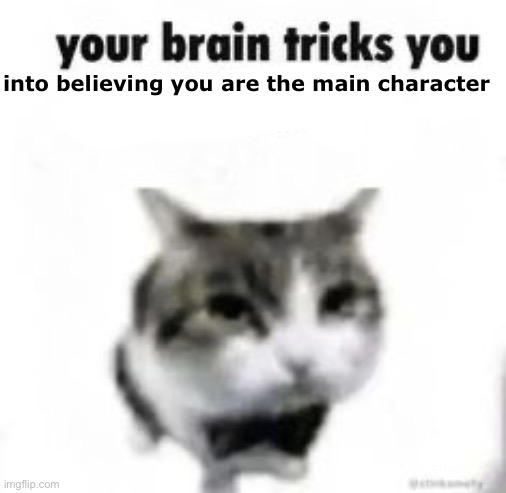 philosophy | into believing you are the main character | image tagged in your brain tricks you | made w/ Imgflip meme maker