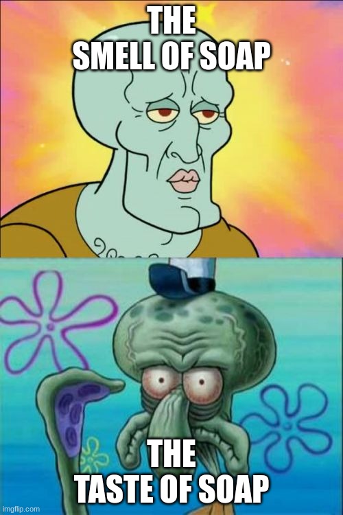 Squidward Meme | THE SMELL OF SOAP; THE TASTE OF SOAP | image tagged in memes,squidward | made w/ Imgflip meme maker