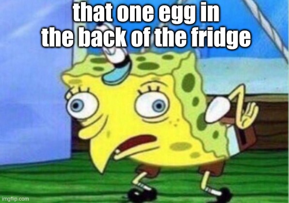 Mocking Spongebob | that one egg in the back of the fridge | image tagged in memes,mocking spongebob | made w/ Imgflip meme maker