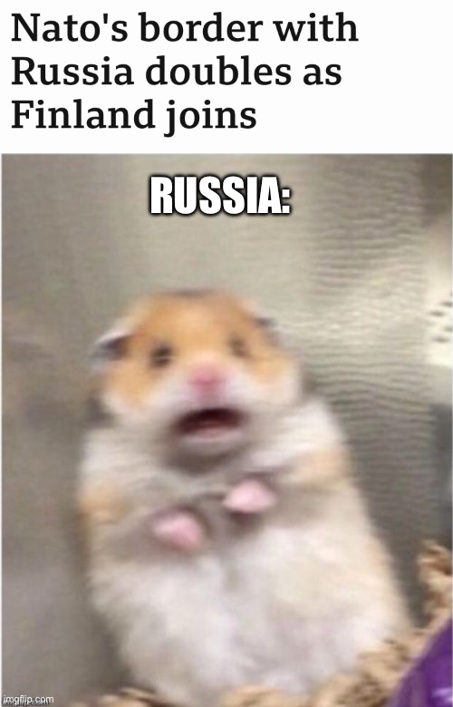 NATO: *knock knock* hello Russia! | RUSSIA: | image tagged in scared hamster | made w/ Imgflip meme maker