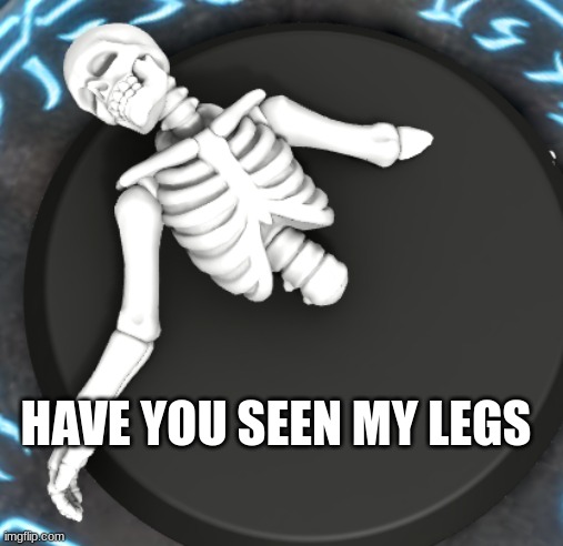 HAVE YOU SEEN MY LEGS | image tagged in funny memes | made w/ Imgflip meme maker