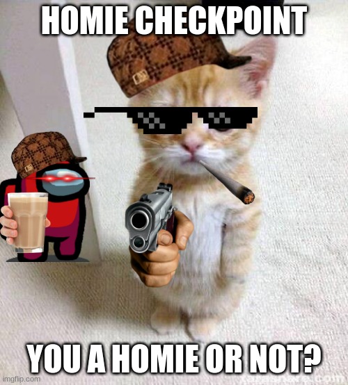 I reposting this | HOMIE CHECKPOINT; YOU A HOMIE OR NOT? | image tagged in memes,cute cat | made w/ Imgflip meme maker