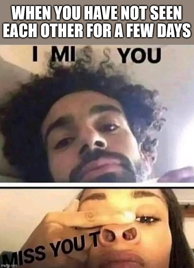 WHEN YOU HAVE NOT SEEN EACH OTHER FOR A FEW DAYS | image tagged in miss you | made w/ Imgflip meme maker