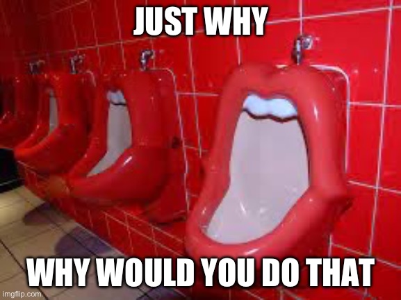 Just why? | JUST WHY; WHY WOULD YOU DO THAT | image tagged in bruh,graphic design problems,design fails,bathroom | made w/ Imgflip meme maker