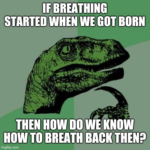 Philosoraptor | IF BREATHING STARTED WHEN WE GOT BORN; THEN HOW DO WE KNOW HOW TO BREATH BACK THEN? | image tagged in memes,philosoraptor | made w/ Imgflip meme maker