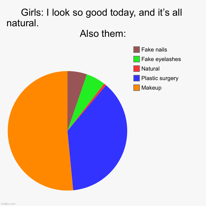 Girls: I look so good today, and it’s all natural.                                                            Also them: | Makeup, Plastic s | image tagged in charts,pie charts | made w/ Imgflip chart maker