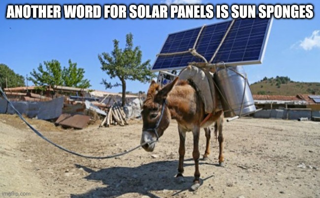 solar mule | ANOTHER WORD FOR SOLAR PANELS IS SUN SPONGES | image tagged in solar mule | made w/ Imgflip meme maker