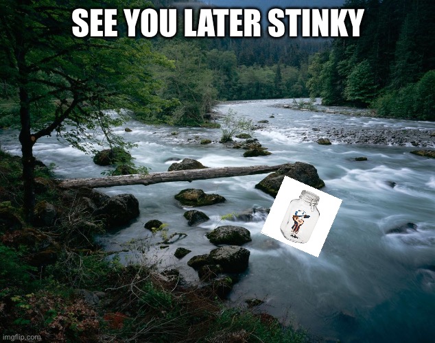 I wasn’t gonna do anything bad in the first place | SEE YOU LATER STINKY | image tagged in river | made w/ Imgflip meme maker