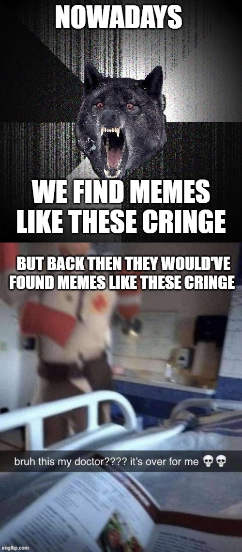 NOWADAYS; WE FIND MEMES LIKE THESE CRINGE; BUT BACK THEN THEY WOULD'VE FOUND MEMES LIKE THESE CRINGE | image tagged in memes,insanity wolf | made w/ Imgflip meme maker