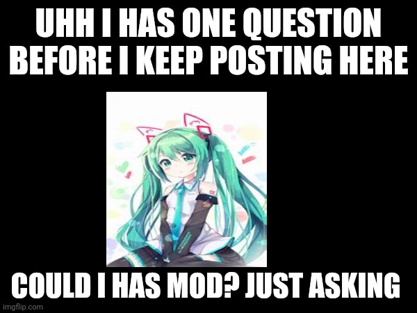 UHH I HAS ONE QUESTION BEFORE I KEEP POSTING HERE; COULD I HAS MOD? JUST ASKING | made w/ Imgflip meme maker