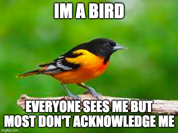 IM A BIRD; EVERYONE SEES ME BUT MOST DON'T ACKNOWLEDGE ME | made w/ Imgflip meme maker