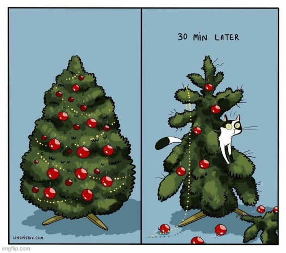 A Cat's Way Of Thinking | image tagged in memes,comics/cartoons,cats,wreck,christmas tree,30 minutes | made w/ Imgflip meme maker