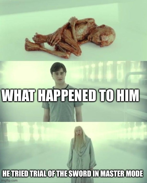 Dead Baby Voldemort / What Happened To Him | WHAT HAPPENED TO HIM; HE TRIED TRIAL OF THE SWORD IN MASTER MODE | image tagged in dead baby voldemort / what happened to him | made w/ Imgflip meme maker