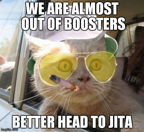 Fear And Loathing Cat Meme | WE ARE ALMOST OUT
OF BOOSTERS BETTER HEAD TO JITA | image tagged in memes,fear and loathing cat | made w/ Imgflip meme maker