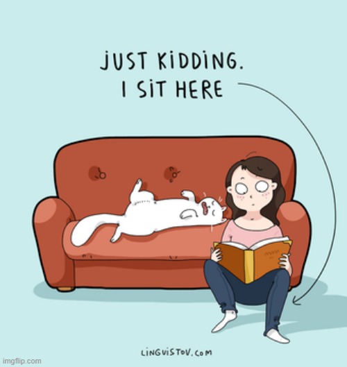 A Cat Lady's Way Of Thinking | image tagged in memes,comics/cartoons,cat lady,sit down,cats,sleeping on couch | made w/ Imgflip meme maker