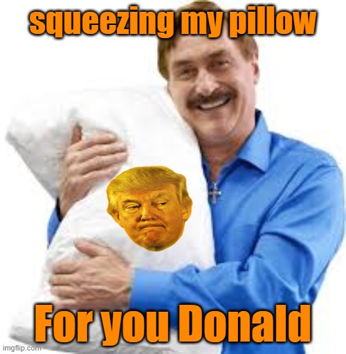 my pillow guy | squeezing my pillow For you Donald | image tagged in my pillow guy | made w/ Imgflip meme maker