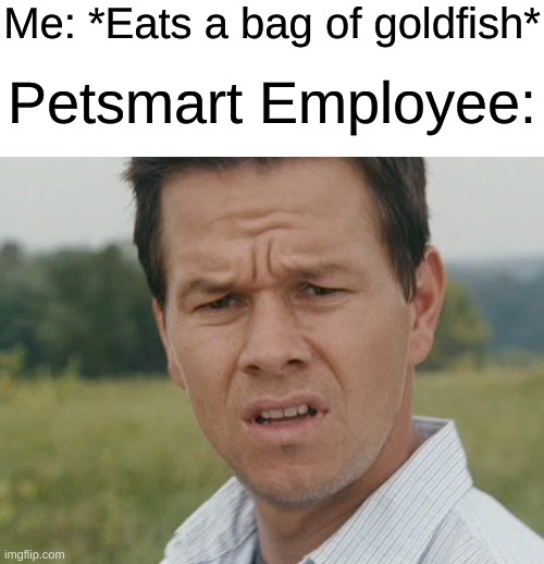 I can't help it! They are just so crunchy and gooooood! | Me: *Eats a bag of goldfish*; Petsmart Employee: | image tagged in huh,memes,funny,wait that's illegal | made w/ Imgflip meme maker
