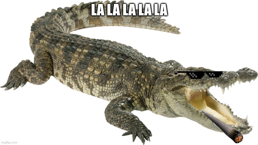 lyle lyle, cokodile | LA LA LA LA LA | image tagged in crocodile | made w/ Imgflip meme maker