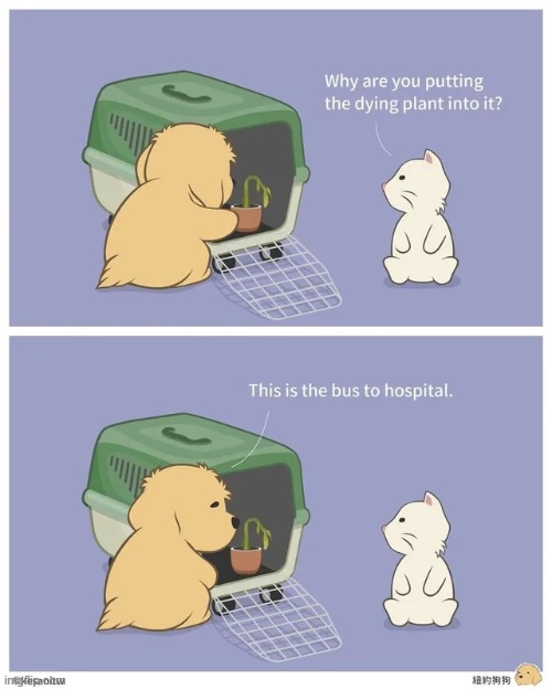 image tagged in wholesome,comics/cartoons | made w/ Imgflip meme maker