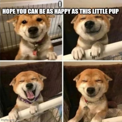 image tagged in wholesome,memes,funny | made w/ Imgflip meme maker