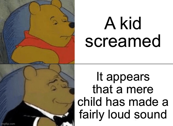 Tuxedo Winnie The Pooh Meme | A kid screamed It appears that a mere child has made a fairly loud sound | image tagged in memes,tuxedo winnie the pooh | made w/ Imgflip meme maker