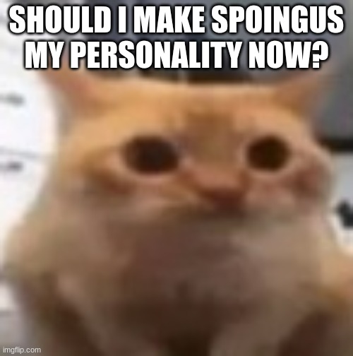 spoingus | SHOULD I MAKE SPOINGUS MY PERSONALITY NOW? | image tagged in spoingus | made w/ Imgflip meme maker