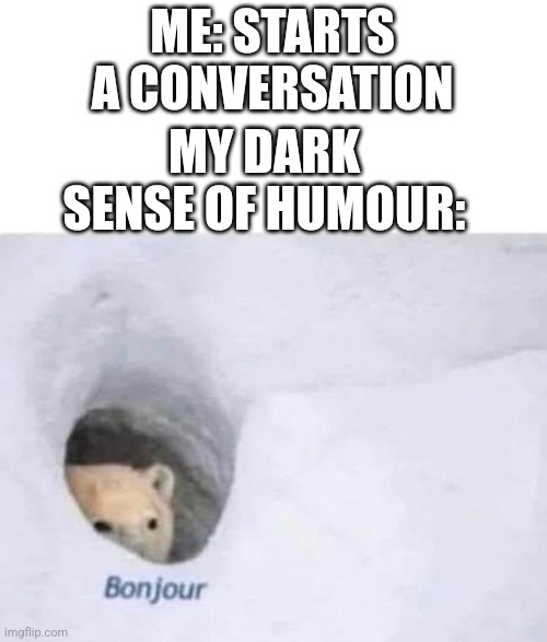 Bonjour | ME: STARTS A CONVERSATION; MY DARK SENSE OF HUMOUR: | image tagged in bonjour | made w/ Imgflip meme maker
