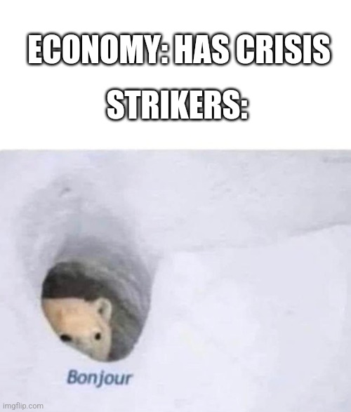 Bonjour | STRIKERS:; ECONOMY: HAS CRISIS | image tagged in bonjour | made w/ Imgflip meme maker