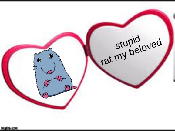 My beloved | stupid rat my beloved | image tagged in my beloved | made w/ Imgflip meme maker