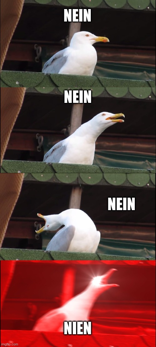 Inhaling Seagull Meme | NEIN NEIN NEIN NIEN | image tagged in memes,inhaling seagull | made w/ Imgflip meme maker