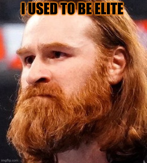 Sami zayn | I USED TO BE ELITE | image tagged in sami zayn | made w/ Imgflip meme maker