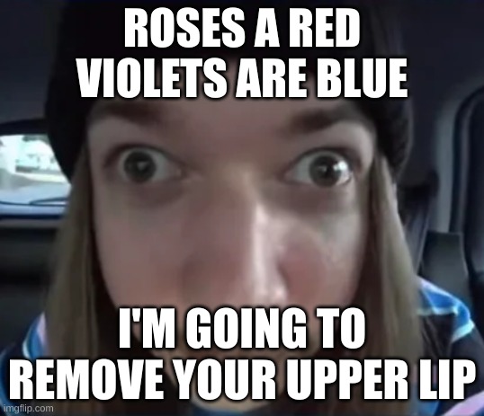JimmyHere goofy ass | ROSES A RED VIOLETS ARE BLUE; I'M GOING TO REMOVE YOUR UPPER LIP | image tagged in jimmyhere goofy ass | made w/ Imgflip meme maker