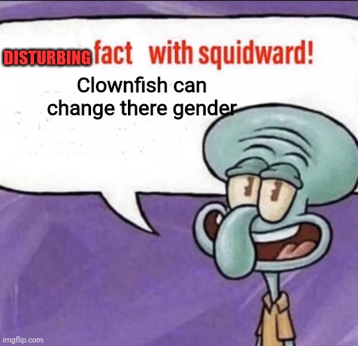 Fun Facts with Squidward | DISTURBING; Clownfish can change there gender | image tagged in fun facts with squidward,sea life,skeletor disturbing facts | made w/ Imgflip meme maker