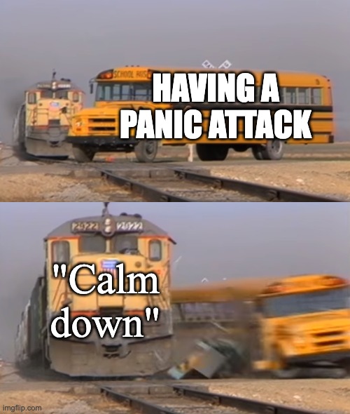 A train hitting a school bus | HAVING A PANIC ATTACK; "Calm down" | image tagged in a train hitting a school bus | made w/ Imgflip meme maker