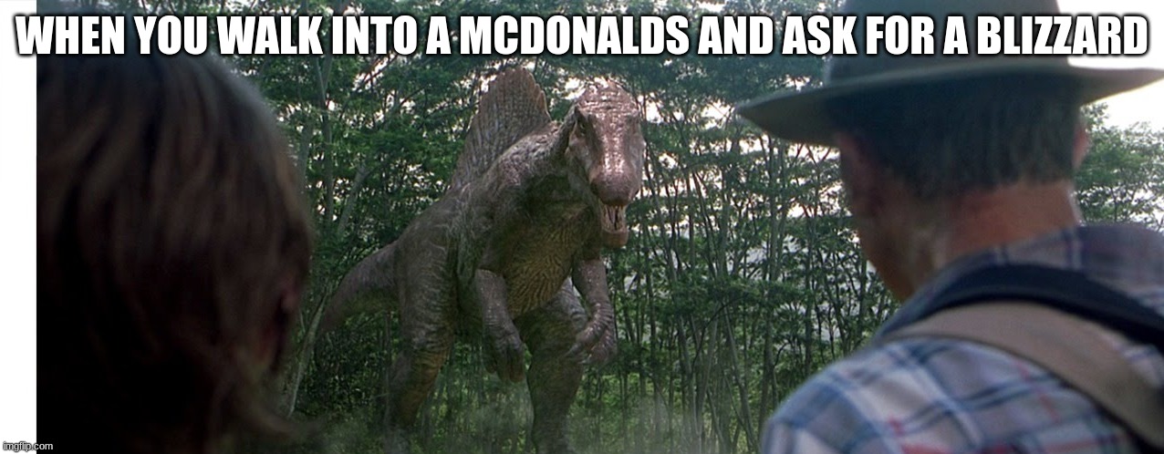 Don't ask for a Blizzard at Mcdonalds | WHEN YOU WALK INTO A MCDONALDS AND ASK FOR A BLIZZARD | image tagged in spinosaurus alleyway | made w/ Imgflip meme maker