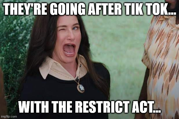 Sen. Warner sponsered Restrict Act...  The Patriots Act on steroids... | THEY'RE GOING AFTER TIK TOK... WITH THE RESTRICT ACT... | image tagged in wandavision agnes wink,deep state,unlimited power | made w/ Imgflip meme maker
