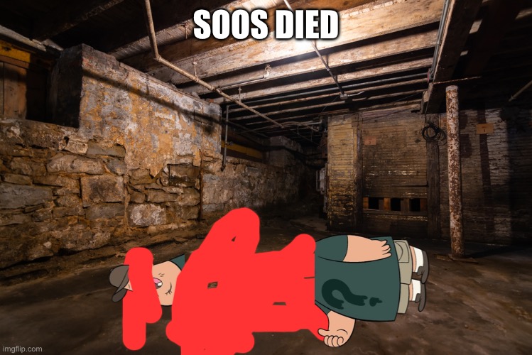 Basement | SOOS DIED | image tagged in basement | made w/ Imgflip meme maker