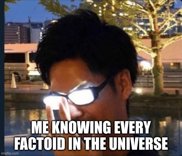 Anime glasses | ME KNOWING EVERY FACTOID IN THE UNIVERSE | image tagged in anime glasses | made w/ Imgflip meme maker