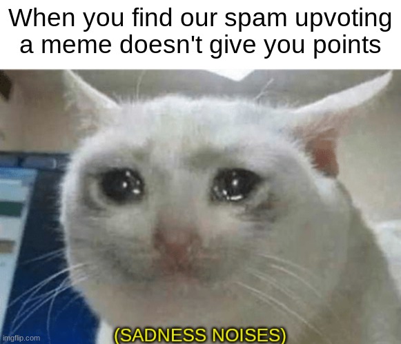 Upvoting memes gives YOU one point | When you find our spam upvoting a meme doesn't give you points | image tagged in memes,sad,points,upvotes,imgflip humor | made w/ Imgflip meme maker